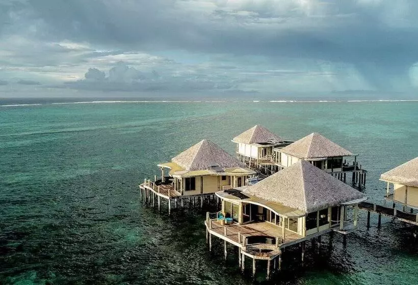 Coconuts Beach Club Resort And Spa