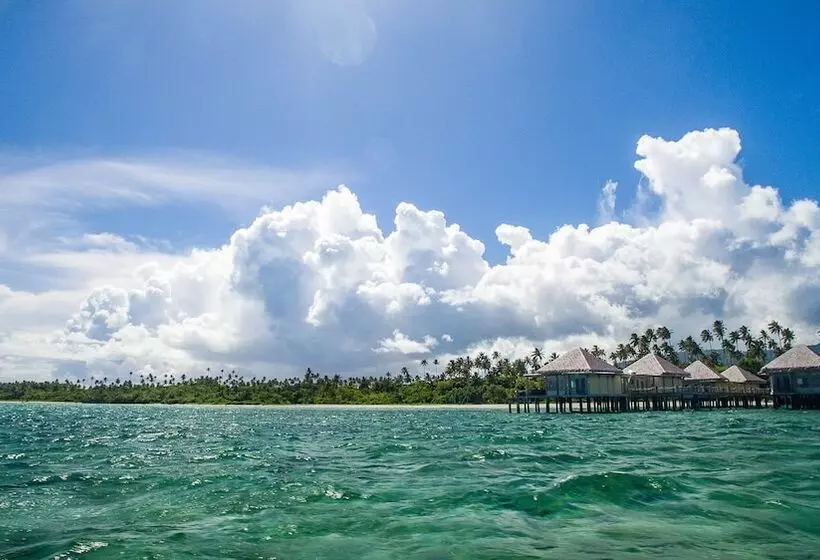 Coconuts Beach Club Resort And Spa