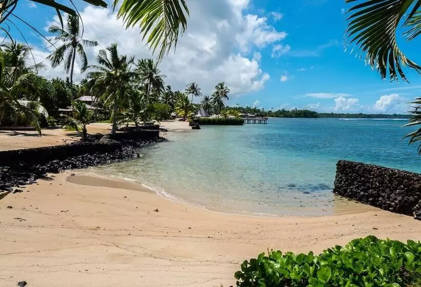 Coconuts Beach Club Resort And Spa