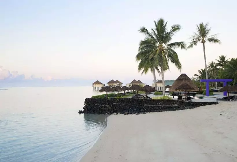 Coconuts Beach Club Resort And Spa