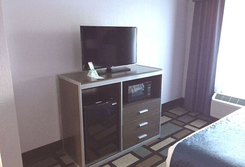 فندق Best Western Plus Birmingham Inn & Suites