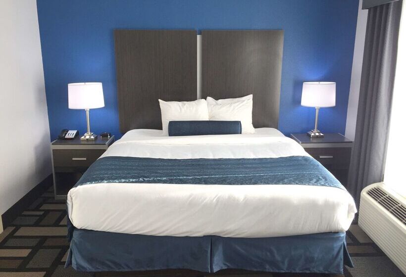 فندق Best Western Plus Birmingham Inn & Suites