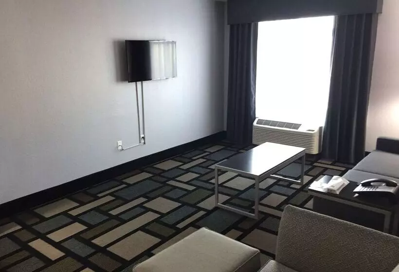 ホテル Best Western Plus Birmingham Inn & Suites