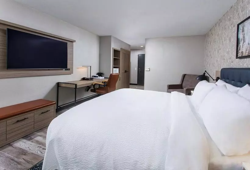 Отель Four Points By Sheraton Appleton