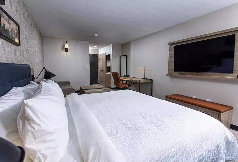 Отель Four Points By Sheraton Appleton