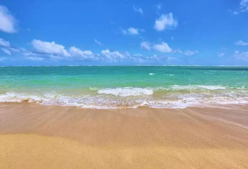 Lahaina Wonderful Condos