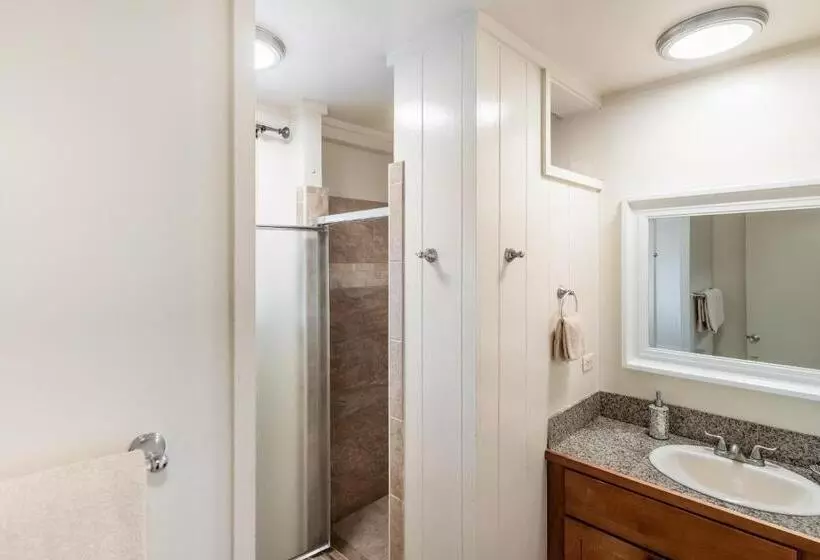 Lahaina Wonderful Condos