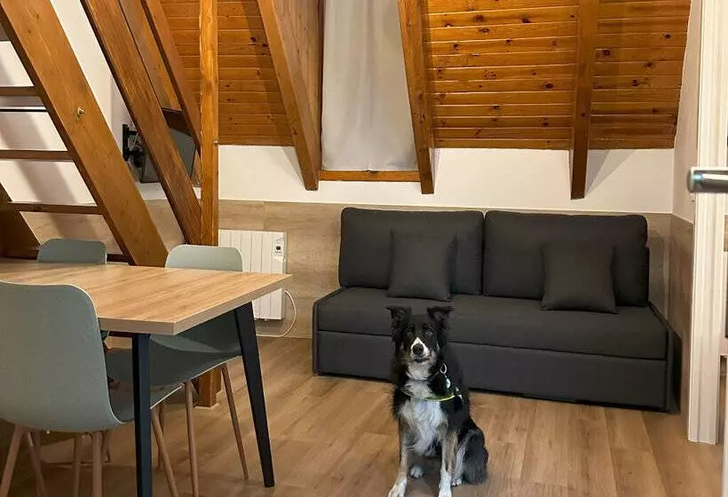 Apartamentos La Solana