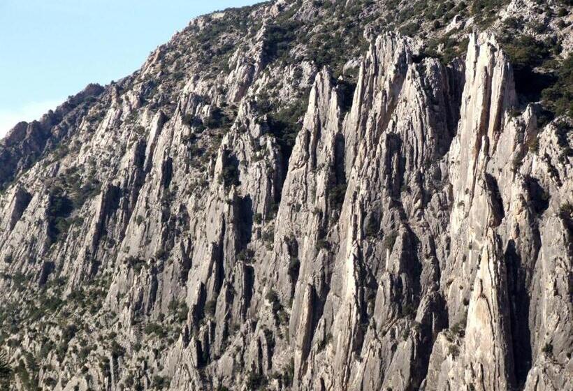 פונדק De La Trucha