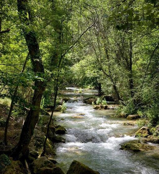 פונדק De La Trucha