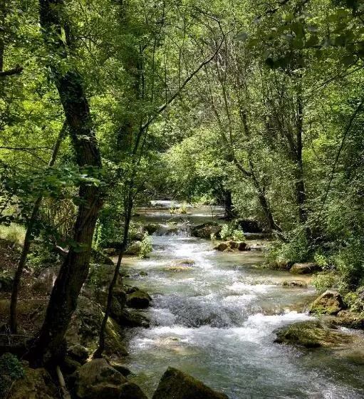 簡易ホテル De La Trucha