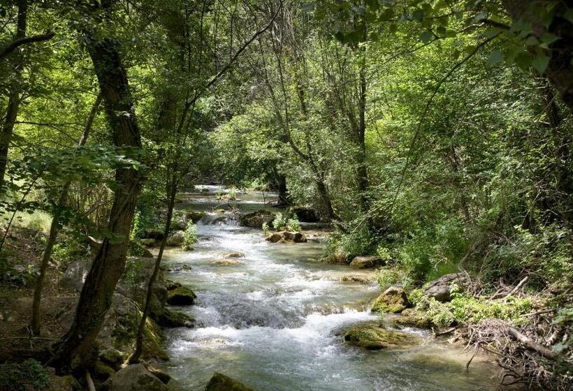 פונדק De La Trucha