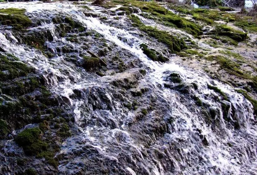 簡易ホテル De La Trucha