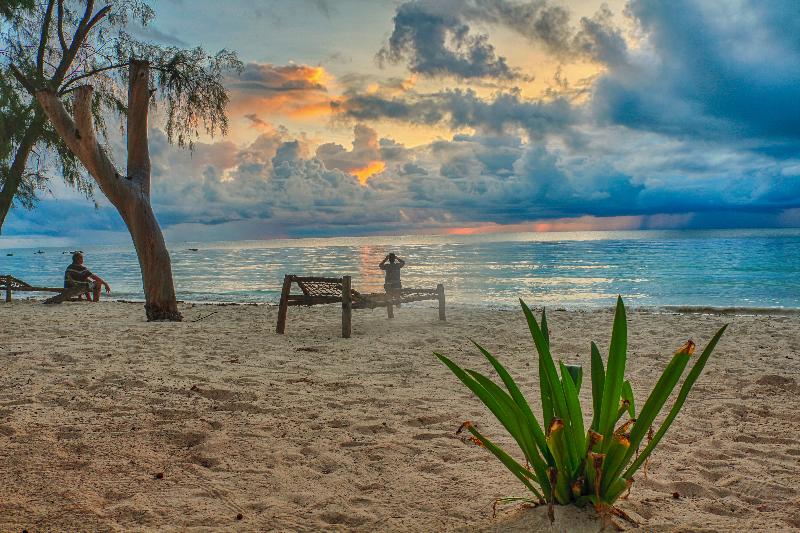 酒店 Golden Clove Beach Resort & Spa