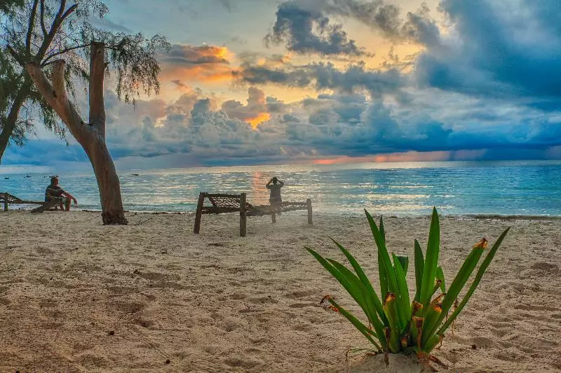 酒店 Golden Clove Beach Resort & Spa