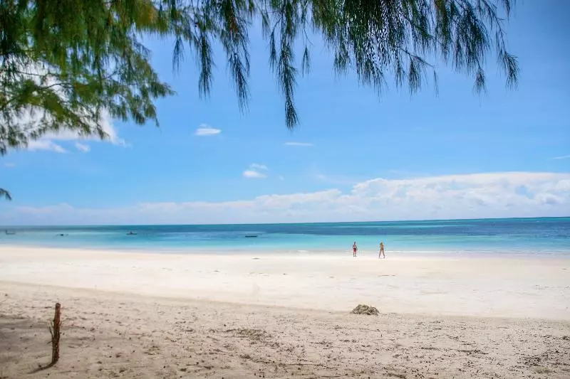 酒店 Golden Clove Beach Resort & Spa