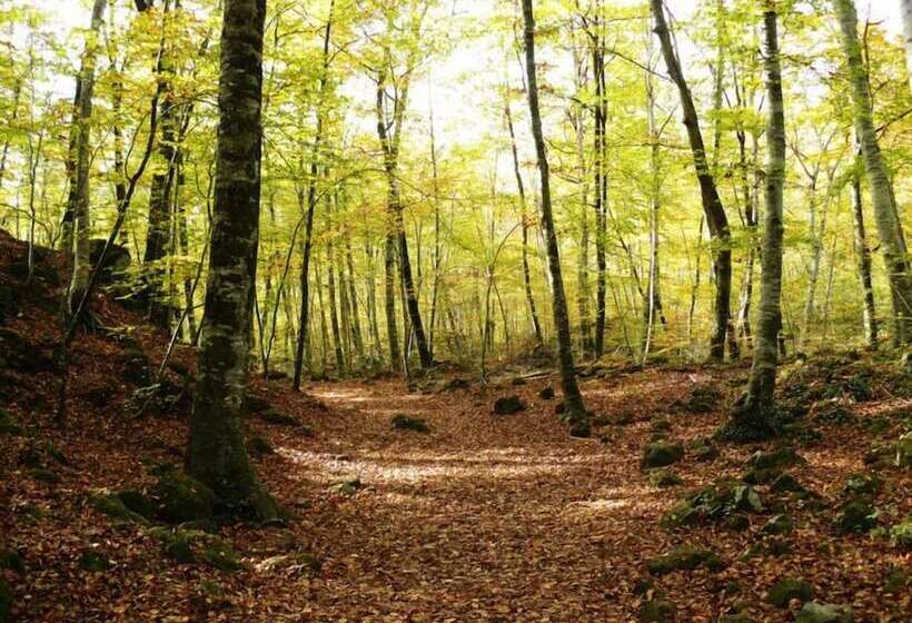 교외 호텔 Alta Garrotxa