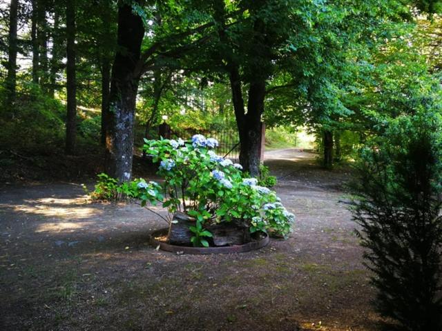 בית מלון כפרי El Jardin Del Conde