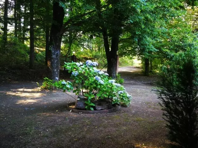 فندق ريفى El Jardin Del Conde