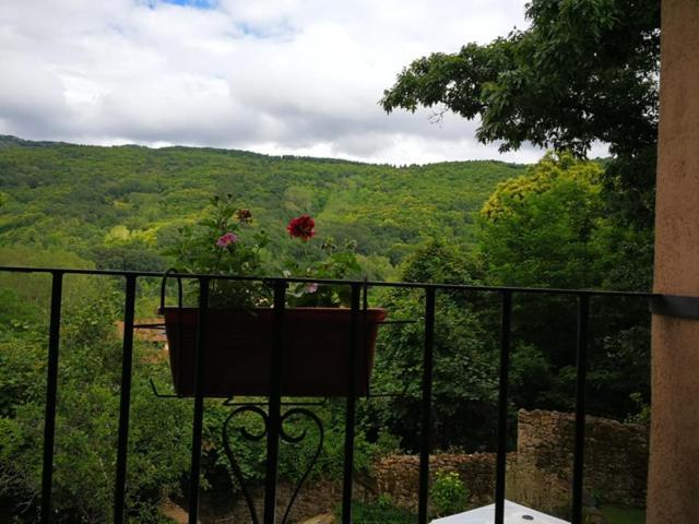 בית מלון כפרי El Jardin Del Conde