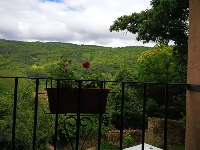 فندق ريفى El Jardin Del Conde