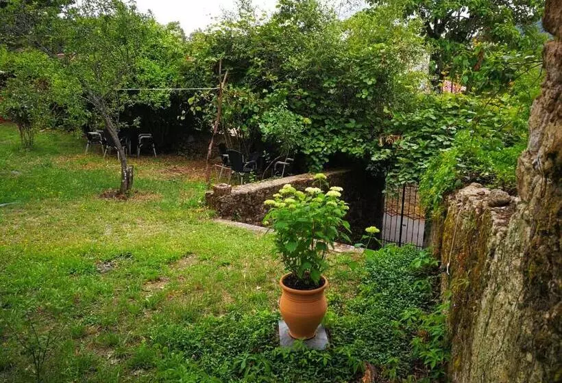 فندق ريفى El Jardin Del Conde