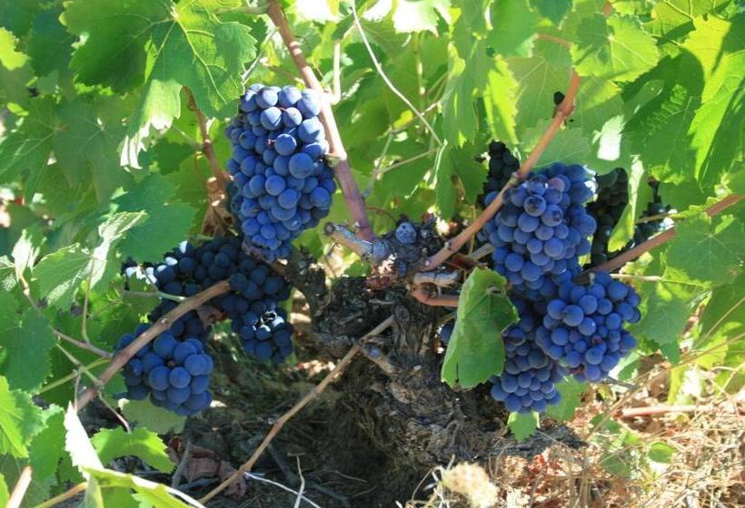 בית מלון כפרי Rural La Enoteca Del Marques