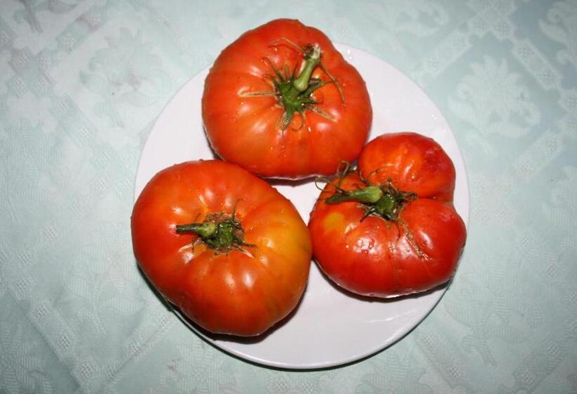 בית מלון כפרי Rural La Enoteca Del Marques