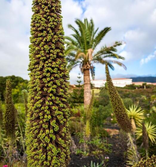 Parador De La Palma