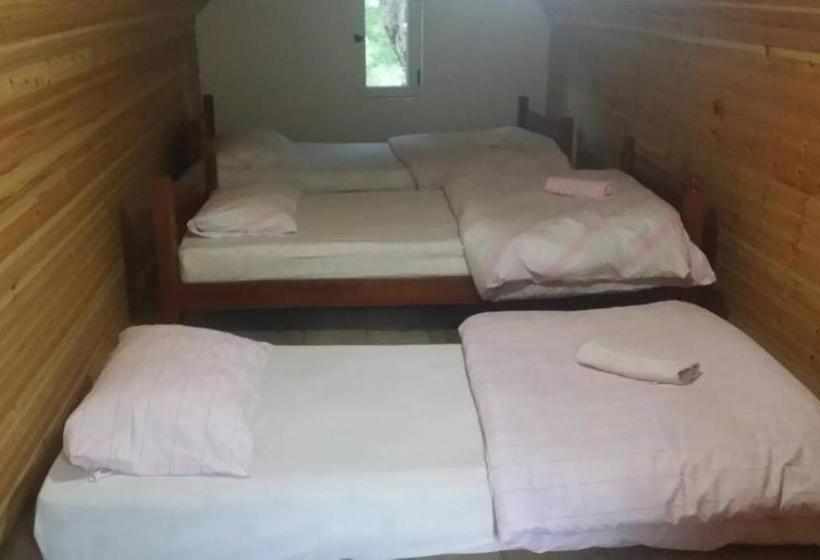 Pensão Kulla Pracja Theth