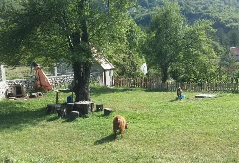 Pensió Kulla Pracja Theth