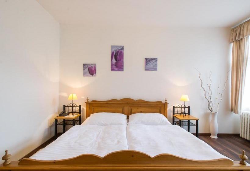 בית מלון כפרי šumava