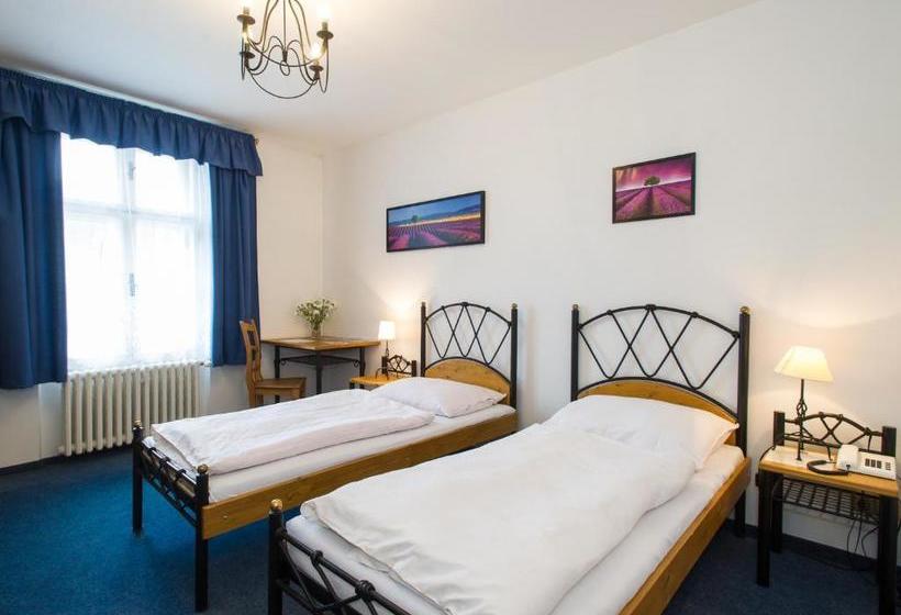 בית מלון כפרי šumava