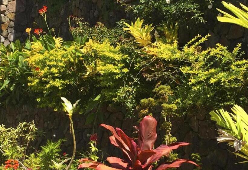 هتل Victoria Palms