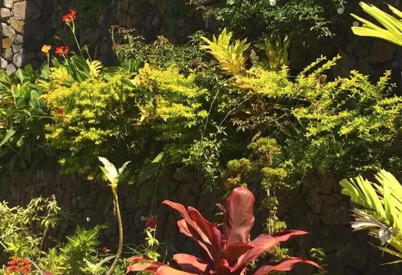 Hotelli Victoria Palms