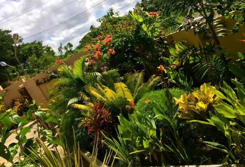 هتل Victoria Palms