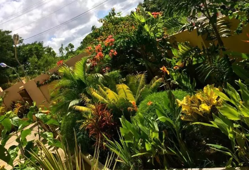 Hotelli Victoria Palms