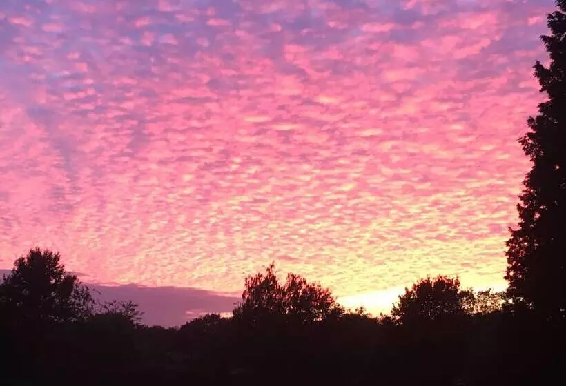 ペンション Erve Het Roolvink