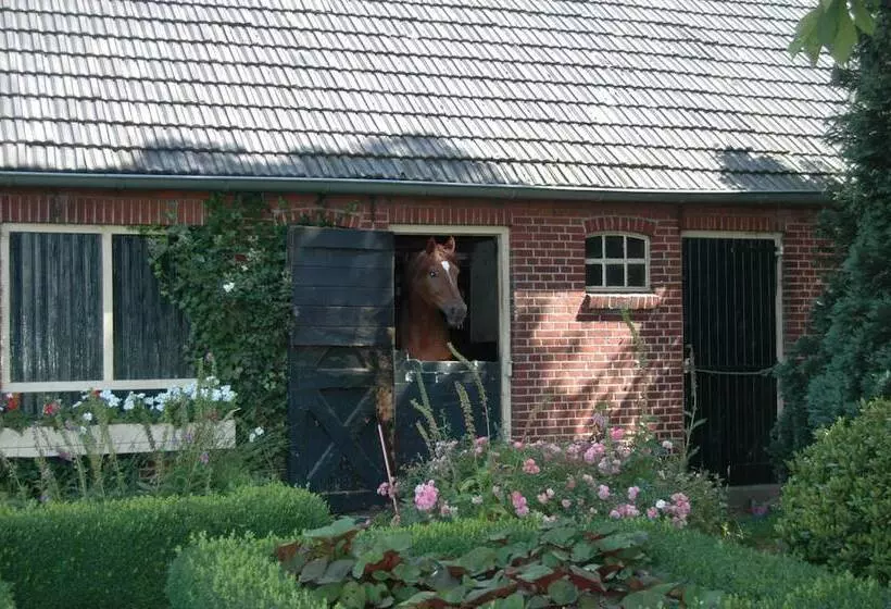 ペンション Erve Het Roolvink