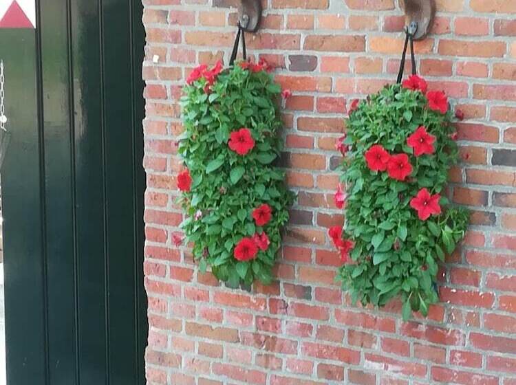 Pensão Erve Het Roolvink