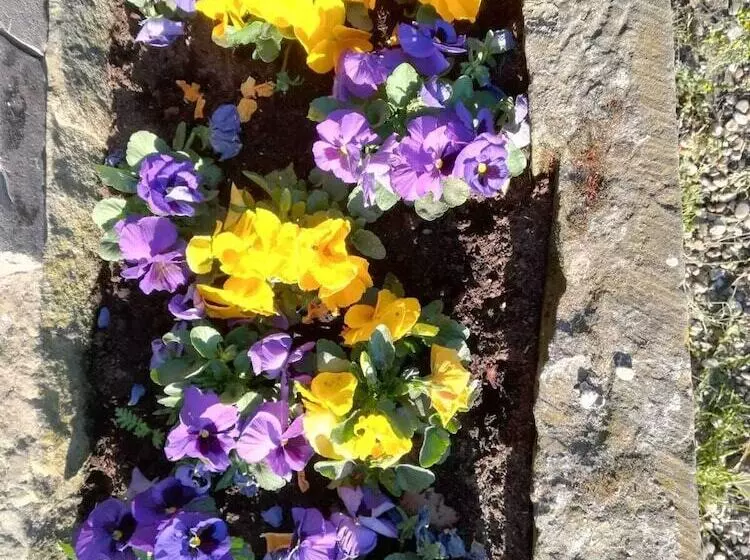 ペンション Erve Het Roolvink