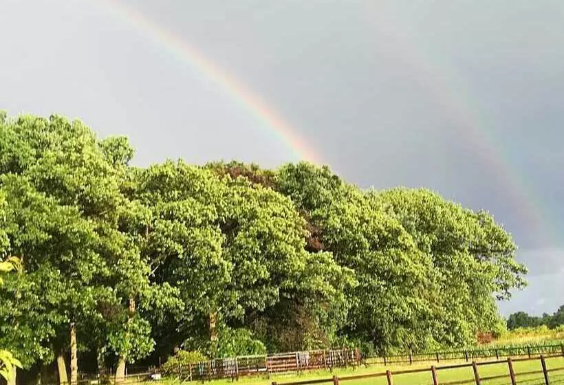 ペンション Erve Het Roolvink