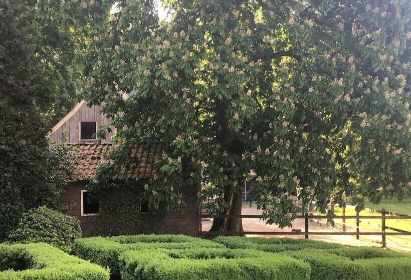 Pensão Erve Het Roolvink