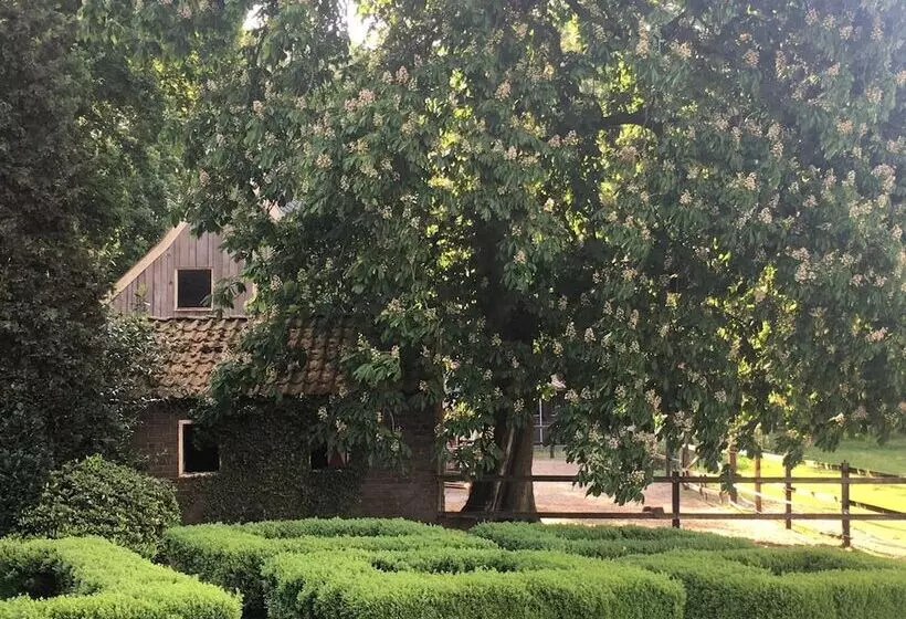 ペンション Erve Het Roolvink