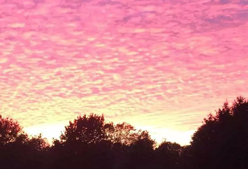 ペンション Erve Het Roolvink