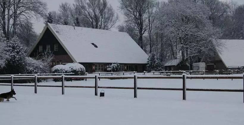 ペンション Erve Het Roolvink