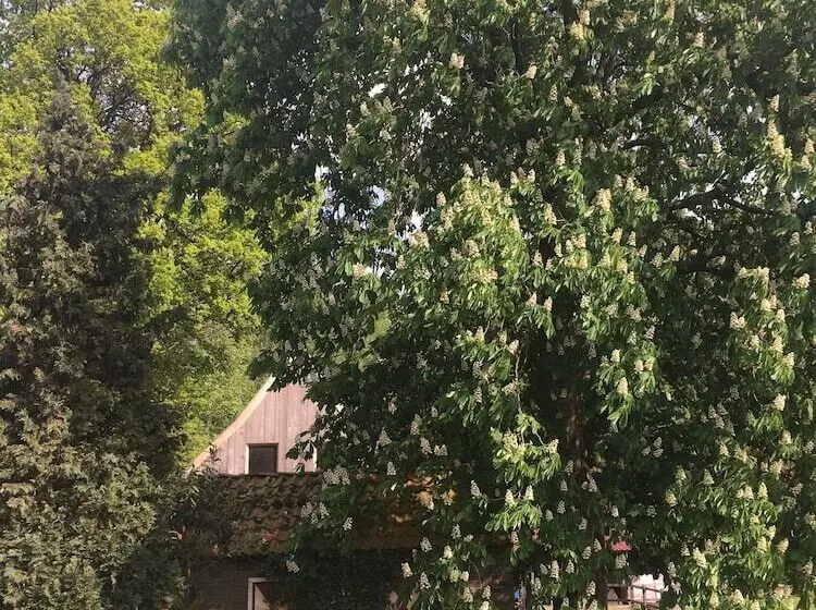 ペンション Erve Het Roolvink