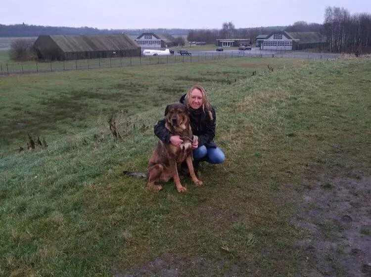 ペンション Erve Het Roolvink