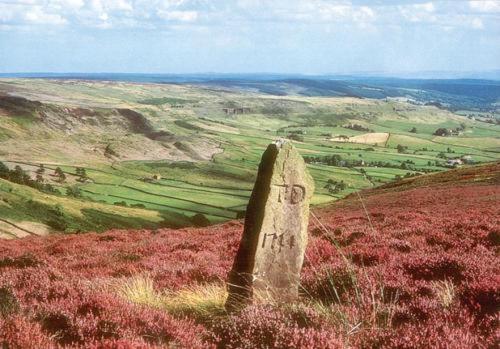 בית מלון כפרי Duke Of Wellington Inn