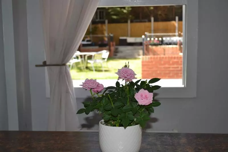 ホテル My Place
